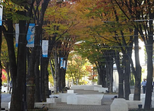 横浜みなとみらい　紅葉が始まった