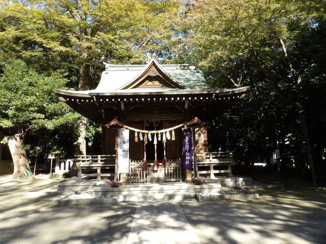 　川崎市中原区宮内4に鎮座する春日神社は創建年代は不詳であるが、平治元年（1159年）～承安元年（1171年）の頃、現在の宮内から井田の地域にかけて稲毛荘とよばれる荘園が成立し、領主であった藤原氏九条家の氏神である春日大社（奈良市）の祭神を勧請して創建したと考えられている。当地旧宮内村の鎮守となっていた。宮内春日神社とも呼ばれている。<br />　社地のつづきにある常楽寺はかつては別当寺であった。社殿は比較的小さなものである。しかし、この春日神社から宮内村の村名が発生しているのであるから、昔はもっと大きな社殿が建っていたのだろう。<br />　境内は広い。そこにご神木の銀杏の木が聳えている。しかし、根元から2股に分かれており、この種のご神木では夫婦銀杏とか名前が付いているものであるが、ここではそうした看板は見当たらない。そもそも銀杏がこのように2股や夫婦木になることは珍しいことだろう。<br />（表紙写真は春日神社拝殿）<br />