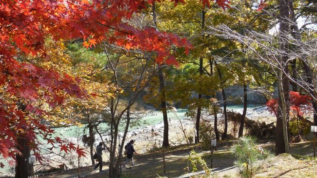 　今年2019年はあいつぐ台風災害のおかげで、紅葉がいまいちきれいではないと言う。そんななか、今回も、紅葉を求めて、埼玉は長瀞まで行ってきた。<br />　長瀞は以前から、紅葉の時期に行ってみたいと思っていたところで、岩畳という奇景が広がってると言う、渓谷好きの私向きの観光地である。<br />　また、長瀞は山と神社もある。今回は渓谷だけでなく、宝登山の山麓にある宝登山神社にも行ってきた。渓谷含めていずれも駅から十分徒歩圏内にある。<br />　紅葉は真っ盛りで、特に、月の石公園のあたりは、錦秋一色。奇岩の周りを黄色や朱色で染めた木々は美しかった。<br />　台風の爪痕は渓谷にも明らかに残されて、所々風景が荒れてはいたが、それを差し引いても来てよかったと十分思える所だ。都心からちょうど2時間で行ける近さがポイント、平日でも川下りは満員だった。<br /><br />　コースは、長瀞駅‐岩畳‐渓谷沿い歩く‐月の石公園‐駅に戻り昼食-宝登山神社-駅から帰宅　<br />　前半では、そのうち、岩畳と、月の石もみじ公園を紹介する。<br />　<br />　