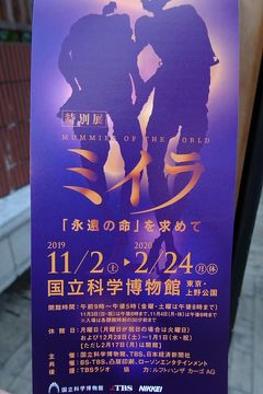 美味しいクロワッサンが食べたいので麻布台へ 上野 浅草橋 神田をかけめぐる最終日 19 11東京滞在6日目 上野 御徒町 東京 の旅行記 ブログ By Mikanさん フォートラベル 美味しいクロワッサンが食べたいので麻布台へ 上野 浅草橋 神田をかけめぐる最終日 19 11東京滞在6日目 上野 御徒町 東京 の旅行記 ブログ By Mikanさん フォートラベル