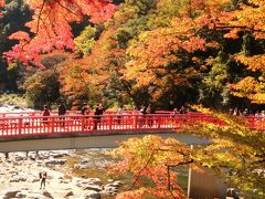 今年の紅葉は遅めですが　稲武大井平公園＆足助城＆猿まわしで楽しむ香嵐渓♪