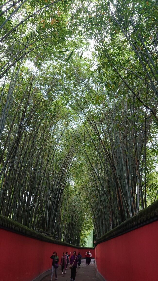 成都と重慶を旅した思い出を①「初めての成都」②「再びの重慶～そして春秋航空日本、欠航の顛末記」と2回に分けて記します。<br />