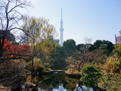 都立庭園カレンダーＧＥＴ♪　９か所都内庭園巡り　⑧　（向島百花園）