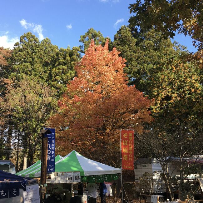 2019/11/16,17～今年も【日光そば祭り】参加<br /><br />&#11036;︎ 市内・県内はもとより、全国各地のそば処が出店し、自慢の味を披露する日本最大級のそばまつりです。<br />３日間で10万人ほどが訪れ、そばはもちろん、物産やステージイベントなども行われます。<br /><br />&#11036;︎ 日光では一年間を通して、旬で美味しいそばを食べることができます。<br />一般的には秋が新そばの時期ですが、日光では夏から新そばを味わうことができます。<br /><br />&#11036;︎ お店によって白いそば、黒いそば、と色が様々です。<br />色に違いが出るのはそばの実の使用部分が違うからです。実の中心部分を挽いたのは白いそば。実の皮部分も一緒に挽いたのが黒いそばです。さらに玄そばは殻付きの実を挽いたものです。<br /><br />（日光手打ちそばの会より）<br /><br />★ 私は　そば打ちが忙しく　見学出来ませんでしたが・・<br /><br />その時の少しのスナップです　@タックライ