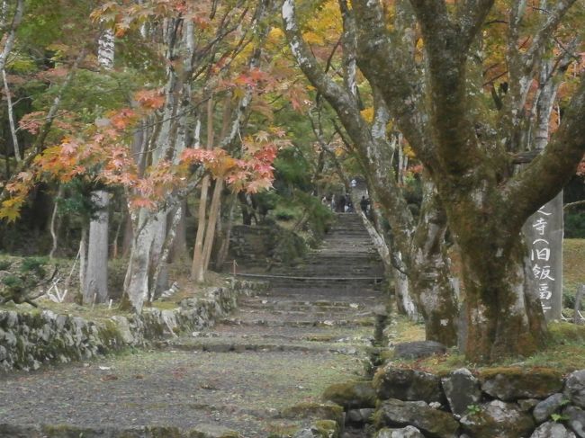 パンフレットで見た滋賀県長浜市にある鶏足寺の紅葉がとても見事なものなので、出かけてみることにしました。併せて100名城に選ばれている小谷城に行くことにして、滋賀県へ車で出かけました。当日は雨が降ったり、止んだりで、山城の小谷城を登るのは諦めて、麓の資料館でスタンプを押すのみの訪問となりました。<br /> 併せて続100名城の玄蕃尾城に向かい、こちらもスタンプを押すだけの訪問となってしまいました。