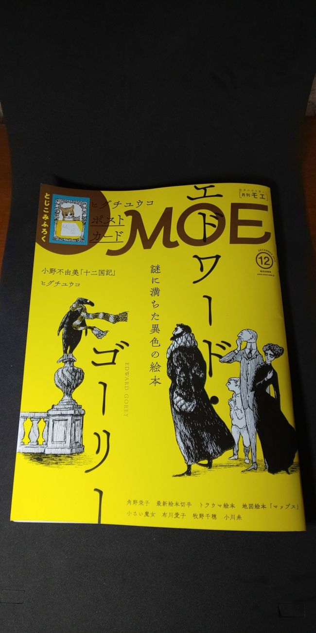 横浜そごう美術館の不思議の国のアリス展で絵本を紹介した雑誌MOEの大ファンになりました。<br />今月号は、練馬区美術館の不思議な絵本展を紹介しておりましたので、<br />早速、行ってみました。変な動物、細密な登場人物や景色に魅了されました。<br />展示は撮影禁止でしたが、撮影できる範囲でも十分、伝わるかと思い、投稿です。<br />展示図録だけで、絵本はまだ読んでおりませんが、絵本の原画が展示されており<br />解説と絵でも十二分の楽しめました。区美術館の風景をお楽しみください。<br />ご訪問、ありがとうございました。再復帰第二弾、キャラが変わっているでしょうか？