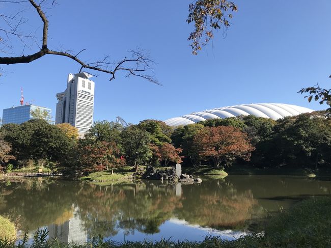 前日に後楽ガーデンホテルに宿泊、都心でランチの約束があったのでその前の時間を利用して行ってきました。<br />メジャーな観光地ではないと思っていましたが観光客、特に外人さんが多かった!<br />ボランティアガイドというものがありホームページで確認できます。<br />https://www.tokyo-park.or.jp/announcement/030/detail/22688.html<br />とってもオススメです♪