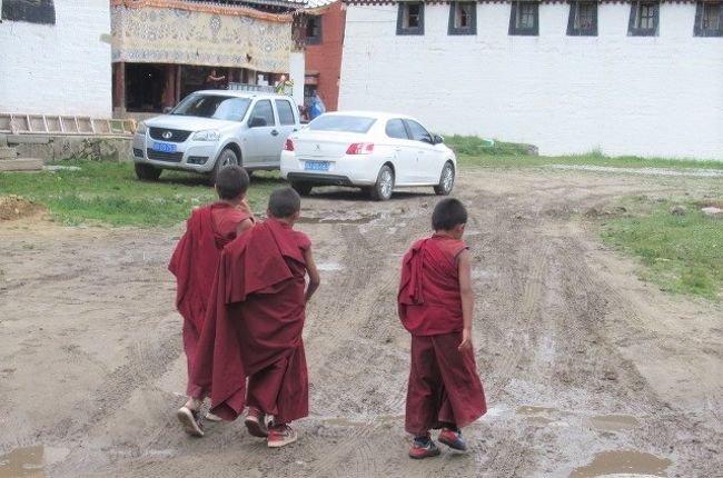 モンゴルの旅を終え12日目、陸路で中国・二連入りました。<br />2012年以来の中国です。東チベットを34日間で巡ってみました。<br /><br />-------------------------------------<br />【中国４～５日目】<br />合作から朗木寺へ移動。<br />朗木寺にある大きな２つのチベット寺院、キルティ･ゴンパと、セルティ･ゴンパを見て廻りました。<br /><br />【日程】<br />D4 7/21　合作07~朗木寺1000(乗用車)【観光:格尓底寺キルティ･ゴンパ】<br />D5 7/22  【観光:賽赤寺セルティ･ゴンパ】<br />【主な交通費】<br />・合作～朗木寺　　乗用車　 無料（宿の車で送迎）※Busは≒60元<br />【宿泊】<br />D4~5　朗木寺、碌曲旅朋YH　ドミ55元 ★★★★★<br />※レート：中国　１元＝16.0円<br /><br />