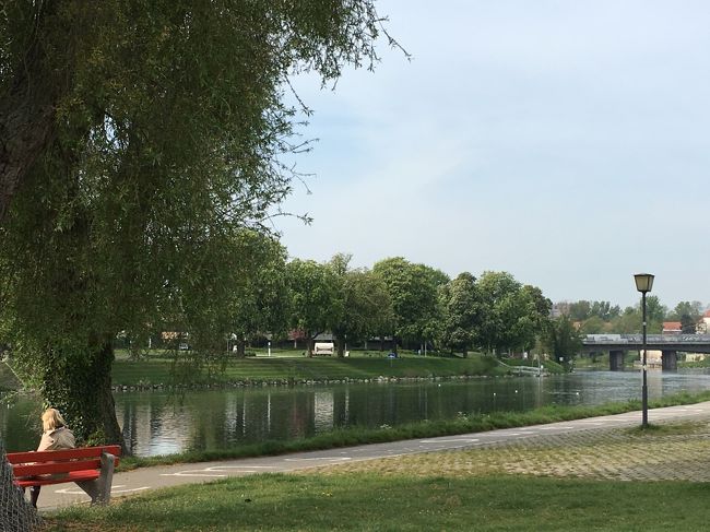 2019年5月7日(火)とうとう帰国の日です。<br />フランクフルト空港18:05発の便ですので、2時間前の16:00頃に空港に到着すればよいとして、それまでどこで過ごそうか。<br />この旅に出発前からいろいろと悩みました。<br />プランはざっと6パターン。<br /><br />●その1:2015年に工事中でがっかりだった橋を見てソーセージをいただくべくレーゲンスブルク再訪。<br />●その2:2017年雨に祟られ職人広場でソーセージをいただいたのみのニュルンベルク再訪。<br />●その3:ロマンティック街道の小さな町、ランツベルクへ。<br />●その4:美しい図書館を訪ねるべくウルム郊外のヴィブリンゲンと、併せてウルムも少し。<br />●その5:一気にフランクフルトまで行き、近郊の町かフランクフルトをゆっくり楽しむ。<br />●その6:ウルムオンリー!<br /><br />いずれも捨て難く悩みましたが、1~4まではどれも時間が滞在時間が中途半端になってしまったり、滞在時間を延ばすと空港着が遅くなったり。<br />5のフランクフルトもいいのですが、フランクフルトやその近郊の町はまた何度もチャンスがあるはずと、結局、町をゆっくり見て、空港へも余裕をもって到着できるウルムのみを訪ねることに前夜遅くまで悩んで決定しました。<br />写真が多くなってしまいましたが、まずはドナウ河畔までお付き合い下さい。<br /><br />以下、今回の旅程です。(☆印がこの旅行記の日です。)<br /> 4月30日(火) 福岡~羽田~フランクフルト~ゲンゲンバッハ<br /> 5月 1日(水) ゲンゲンバッハから黒い森の小さな村巡り<br /> 5月 2日(木) ゲンゲンバッハ~ドナウエッシンゲン<br /> ~コンスタンツ~メーアスブルク<br /> 5月 3日(金) メーアスブルク~ユーバーリンゲン~リンダウ<br /> ~メーアスブルク<br /> 5月 4日(土) メーアスブルク~シュトゥットガルト<br /> ~シュヴェービッシュ・ハル<br /> 5月 5日(日) シュヴェービッシュ・ハル~アウクスブルク<br /> 5月 6日(月) アウクスブルク~ドナウヴェルト<br /> ~ディンケルスビュール~ネルトリンゲン<br /> ~アウクスブルク<br />☆5月 7日(火) アウクスブルク~ウルム<br /> ~フランクフルト国際空港より帰国便<br /> 5月 8日(水) 羽田~福岡