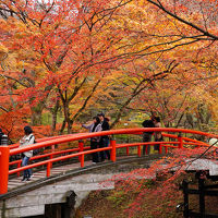 週末湯旅～伊香保の紅葉と黄金の湯～