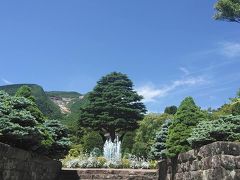 強羅公園は紫陽花祭りの最中でした。