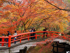 週末湯旅～伊香保の紅葉と黄金の湯～