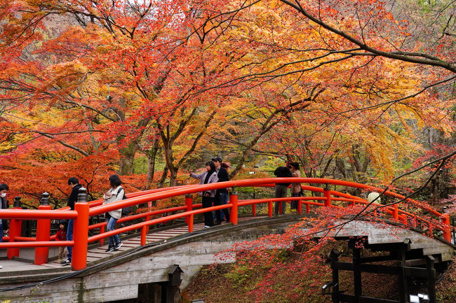 週末湯旅～伊香保の紅葉と黄金の湯～