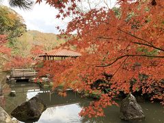 鳥取県南部町　新宮谷公園の紅葉