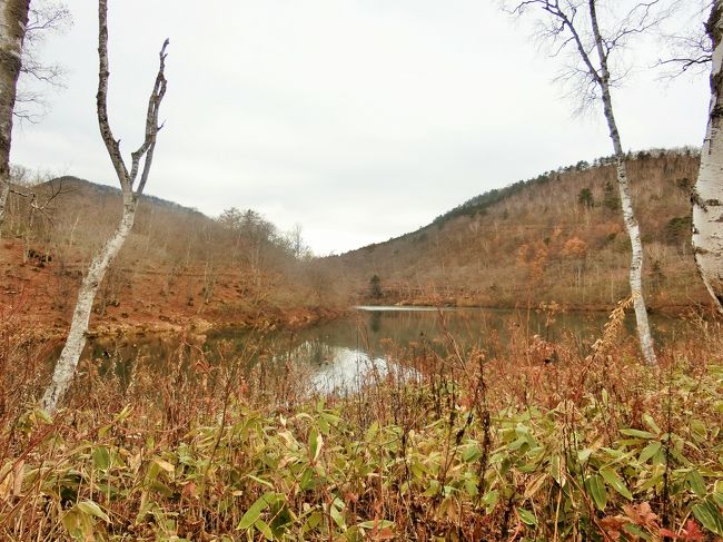 湯田中で一泊して、土曜の朝に志賀高原の蓮池の隣にある志賀高原山の駅へ。<br />ココに車を停めてハイキングにスタートです。<br />降水確率80％と言う天気予報でしたが、雨は降っていません。<br />でも雨雲は近づきつつあるので、元々計画していたハイキング（蓮池から木戸池までの往復8.2km）を短い距離のハイキング(琵琶池をグルッと廻って旭山に登って戻る）に変更してサクッと歩きましょう！<br /><br />よくよく考えたら、志賀高原は何度も訪れているものの、スキー以外で訪れるのは初めてです。<br />雪のない志賀高原は新鮮でした。<br />