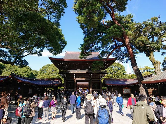 11月に入り、仕事で不運が連続で起き、これはなんとかせねばと思い、午後から勤務の今日、思い立って出勤前に1年半ぶりに明治神宮にお参りに行って来ました。<br /><br />原宿駅から南参道を通り、神宮本殿をお参りし、帰りは北参道を通り、代々木駅方面に抜けました。<br /><br />原宿駅には11時40分頃到着です。