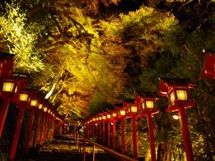 圧巻！幻想的で素晴らしい紅葉のトンネルと貴船神社紅葉ライトアップ　なんだかんだといてもやっぱり京都よね～　2019.11.17