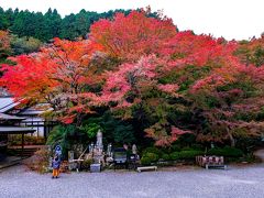 両子寺の紅葉　2019