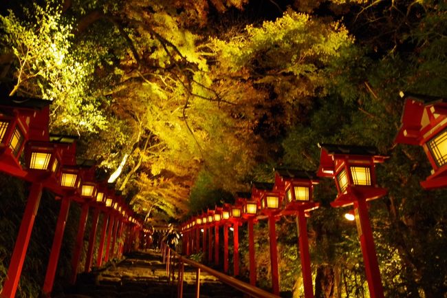 なんだかんだといってもやはり京都は素敵ング。<br /><br />紅葉なんて渋滞やら駐車場問題があって、有名どころは車で行けたもんじゃない。その点、京都は駅から徒歩でも観光地が多い。それものも京都の魅力。で、桜と紅葉シーズンは、つい京都へ足を運ぶことが多くなりました。<br /><br />永観堂のライトアップも3度ほど行きましたが、人が多すぎ、多すぎる。。。閉門前に行けばいいんでしょうけど、帰りのことを考えるとねー。永観堂はもうやめよう。<br /><br />同じところばかり行っているので、未踏の地へ行こうと思うが、さて、どこへ行こうか。<br /><br />トロッコの紅葉のトンネルは知っていますが、叡山電鉄も紅葉のトンネルがあると初めて知りました。貴船神社も行ってみたいしということで、貴船神社の紅葉ライトアップへ行ってきました。<br /><br />表紙の写真。人が映り込んでいるのはピントが合っているのに、人が引いたときのはほぼ全部ピンボケという恐ろしさ。。。