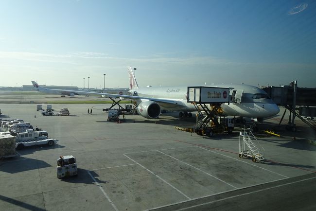 【フライト編③】A350-Qsuiteに搭乗　クアラルンプール→ドーハ 　～ワンワールド世界一周航空券で2ヶ月の旅