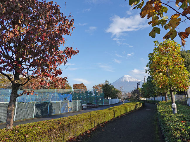 紅葉と富士山を見ながら散歩してきました。<br /><br />・散歩時間 : 午前06:25頃～午前09:25頃 約3時間(休憩1回約30分含む)<br />・散歩距離 : 約9Km<br />・散歩歩数 : 約15,000歩<br /><br />★富士市役所のHPです。<br />https://www.city.fuji.shizuoka.jp/