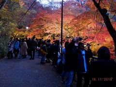 伊香保神社の紅葉と「おもちゃと人形・自動車博物館」