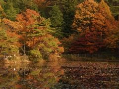 Autumn Leaves in Hiroshima 2019