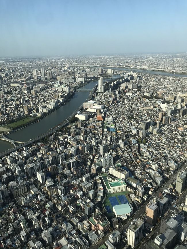 11月3連休中に浅草へ。(都内在住だけど）<br />初めてのスカイツリーと定番のはなやしきへ。<br /><br />宿泊：リッチモンドホテルプレミア浅草　1泊<br /><br /><br /><br />