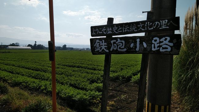 2019年11月9日菊陽町の「すぎなみフェスタ」満喫ウォーキングと銘うったJR九州ウォーキングに参加した。<br />今日は近いのでいつもより遅めの出発である。<br />7:53上南部バス停→8:05東海学園前8:58→豊肥本線→9:10原水駅(受付)<br />原水駅9:15→ウォーキング→まゆみ農園(ニンジンジュース試飲販売)→蘇古鶴神社→鉄砲小路生垣→山内本店味噌醤油資料館【味噌汁サービス」→菊陽町総合交流センターターミナル「さんふれあ」新鮮野菜の直売所・天然温泉「さんさんの湯」→すぎなみフェスタ会場「菊陽杉並木公園・スポーツ広場」→三里木駅「ゴール」<br /><br />三里木駅13:08→豊肥本線→13:08武蔵塚駅13:10→徒歩→13:40自宅到着<br />