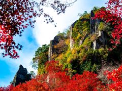 一目八景の紅葉