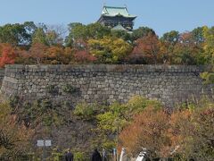 351 紅葉の大阪城公園