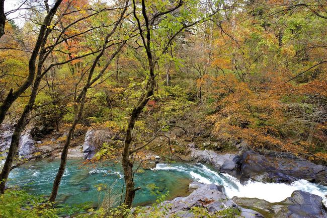 秋の日光へ日帰りで行ってきました。<br /><br />駅から登れる鳴虫山登山と美しい渓谷の憾満ヶ淵、そして日光東照宮の観光。締めに温泉も入れて秋の日光を満喫できた1日でした。<br /><br />憾満ヶ淵は意外と人も少なくてかなりお勧めです。<br /><br />▼ブログ<br />https://bluesky.rash.jp/blog/hiking/nakimushiyama.html