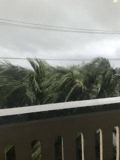 ベトナム世界遺産ツアー　台風おまけつき　4日目の1