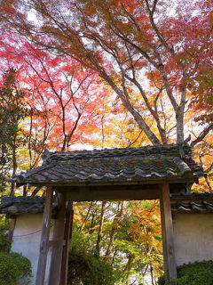 大宇陀の紅葉 ! 大願寺