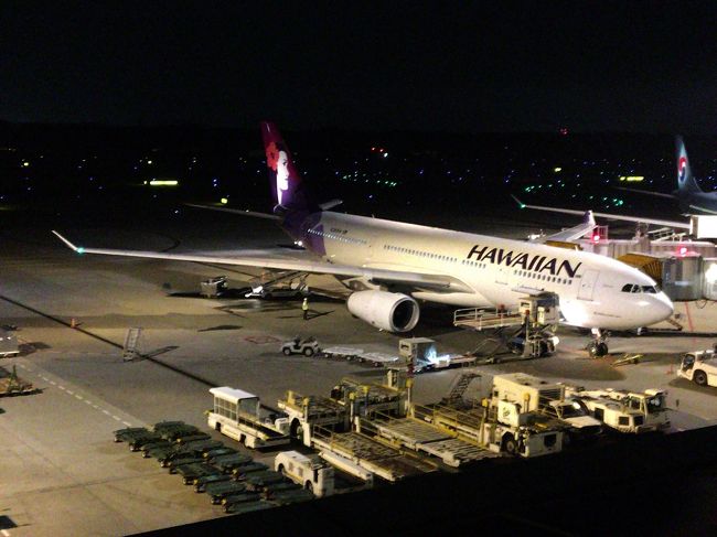 友人たちをピックアップするために成田空港へ。早朝着と言うことなので、私は成田に前泊します。どうせ諭吉さんと時間を使うのですから、ただ空港往復というのは勿体ない。それならば、早目に家を出ておのぼりさんを楽しもうと決めた私でした。空港には夜到着。夕方便が一段落し、深夜便にはまだ早い時間帯だったようで、チェックインカウンターはガラガラです。こんなに寂しい空港を見ると、自分が日本を離れる訳でもないのに何となくセンチメンタルになりますね。今回は東京駅周辺の散歩と成田空港の夜をご紹介します。