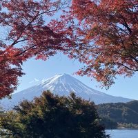 ふるさと納税で夫と山梨旅行