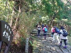 わいわい♪女６人旅～熊野古道・大門坂を歩く～