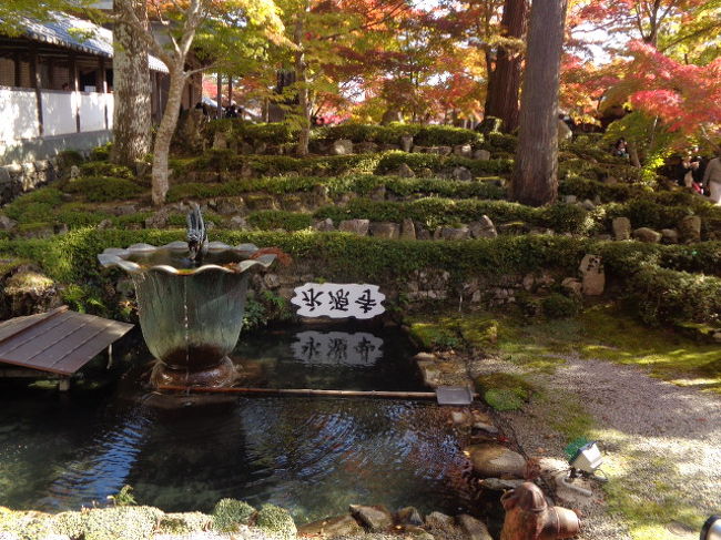 永源寺からスタートをして西明寺の前の一休庵で昼食を取り西明寺をお参りしました。<br />どちらのお寺も坂と階段がきつかったー<br />足が弱ってきたけどお参りがしたくて一生懸命上りました<br />修業ですねー