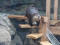 久し振りの大洗水族館&初！酒列磯前神社