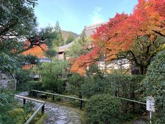 朝観光（20ー1）　京都の紅葉（鷹峯）