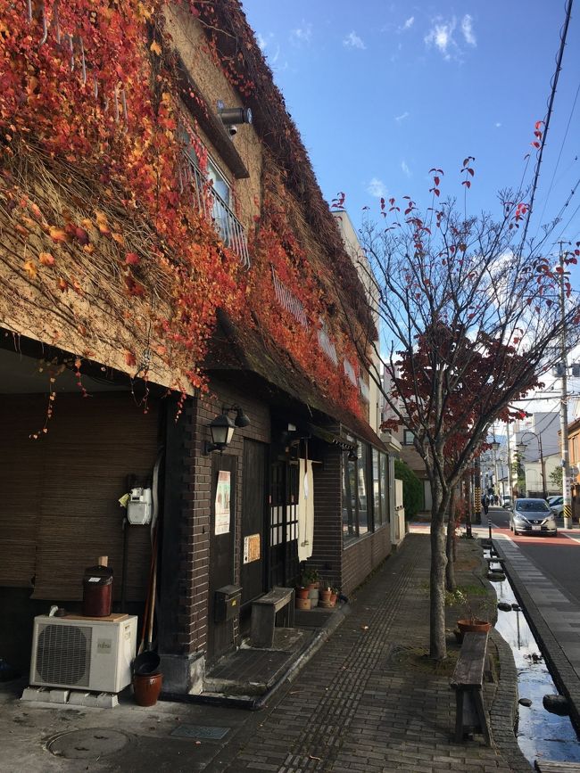 松本の街をブラブラ歩きました。紅葉している街が、本当に素敵でした。<br />お洒落なカフェに寄ったり、美味しいお土産を買ったり、ゆっくりできました。