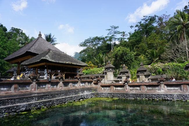 2019年11月バリ島Bali ウブド観光 ライステラスに世界遺産ティルタ ウンプル寺院(聖なる泉が湧く寺院)