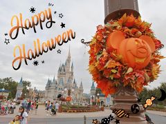 WDW&UOR旅行記★4日目Magickingdom&Animalkingdom編