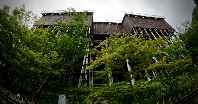 あれは、中学生の頃...<br /><br />現代とは違い、修学旅行(関東地方から)といえば、「日光」「京都」「阿蘇山」なんかがメインだった気がする...外国なんかあり得ない...時代。<br /><br />そんな中で、修学旅行の思い出は、友達・女子・卓球・枕投げ・女湯●x■みたいな、今となってはどうでもいい事ばかりしか記憶に残っていないし。<br /><br />京都や奈良に行ったことは覚えているが、どんなものを見たかなど、全くと言って良い程、記憶の端にも残っていない私...馬鹿だなあ...青春って...<br /><br />親、いや 大人の心子知らず....日本の文化や歴史の凄さを知るのは、それから2-30年も経った後...<br /><br />そんなこんなで、まるで初めて来たかの様に 新鮮で、大人心をワクワクさせてくれるであろう古都に、おじさんになってからリベンジしてみるの旅。<br /><br />約40年ぶりの京都とは一体なんぞやをじっくり考えながら徘徊す~