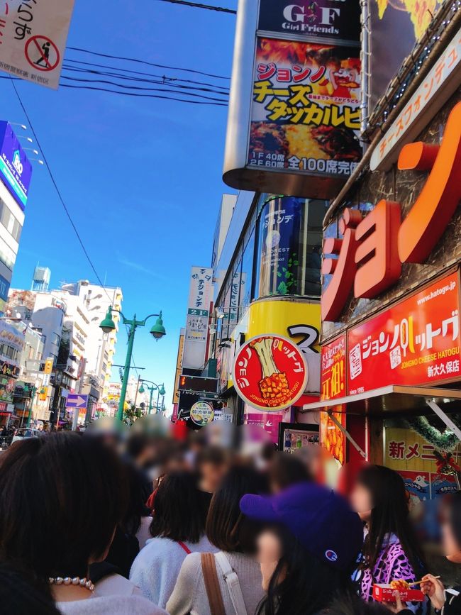 新宿から一駅、新大久保。<br /><br />上京当時から縁があり、その後もなぜか数年ごとに訪れる機会が発生する不思議な場所。<br /><br />昔は「女の子はあまり行かない方がいいよ」とアドバイスされるような街で、駅前も空いていました。<br /><br />それがヨン様ブーム、韓流ブームの影響でコリアンタウンとして有名になり、次はK-popブームで若い女子が訪れる街に。それが少し落ち着いた？今は他のアジア各国のお店が勢力を拡大し、ますます混沌としています。<br /><br />この旅行記は私が時々訪れる新大久保（主に飲食店）の訪問記録です。訪問日時もいい加減ですし、もしかするとすでに閉店している所もあるかもしれませんがご了承下さい。今後少しずつ加筆しようと思います。<br />(｡ﾟωﾟ)ﾉ<br /><br />2020.02.25 ルビーパレスを加筆しました