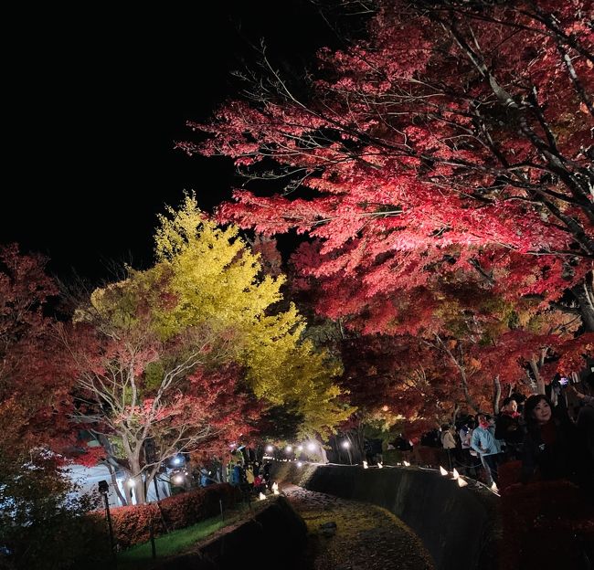大蔵経寺、ハーブ庭園、河口湖もみじ回廊の紅葉が綺麗でした。