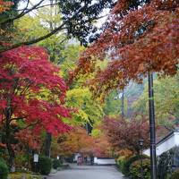 秋の山陰(浜田市)～錦帯橋～厳島・呉　2019.11.17～11.19　2日目