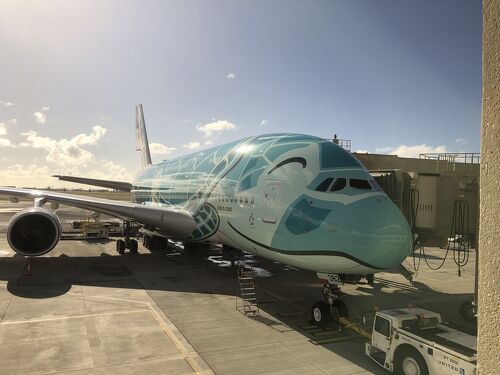 今年のハワイは空飛ぶホヌ～準備から到着まで』ホノルル(ハワイ