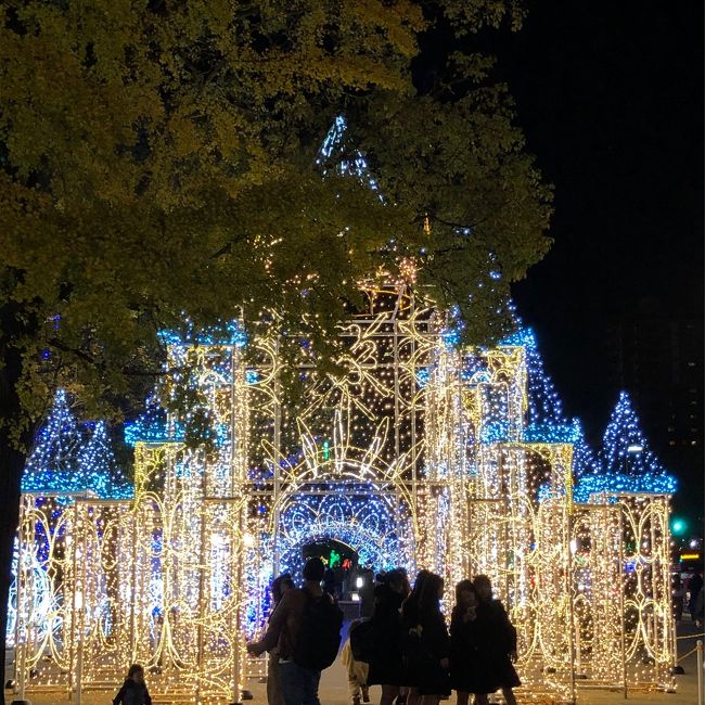 まだ12月になってもいないのにもうクリスマスイルミネーションなんでしょうか…広島の平和大通りはキラキラしています (ドリミネーションと言うらしいです)。<br />華やかなのは大好きですが、一人旅の目にはカップルたちが眩しいです。<br />加えて今日は胡子(えびす)講の日であるらしく、目抜き通りが歩行者天国になって、屋台やら出し物やらで大賑わいです。<br /><br />でも、やっぱり自分は色気より食い気。<br />岡山で一泊、広島で二泊、ほぼ呑み食いだけの旅行記(というか、お店の備忘録)です。<br />