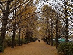 秋の散策、昭和記念公園。